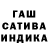 Каннабис OG Kush raballahi