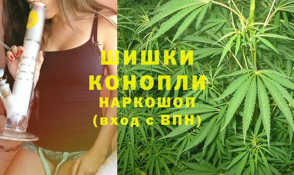 соль ск Белокуриха
