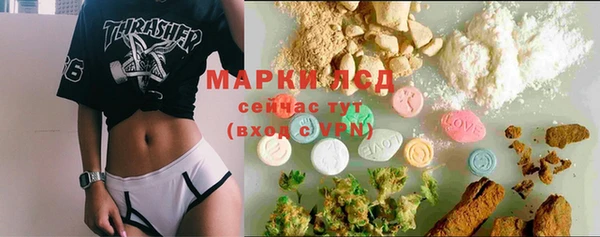 соль ск Белокуриха